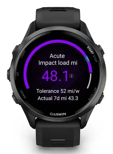 Smartwatch Forerunner 970/Grey 010-02969-10 Garmin