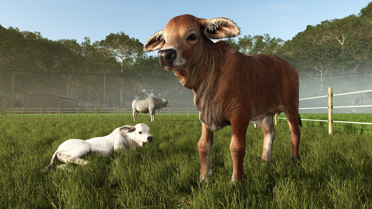 Juego Farming Simulator. 25: Beans & Alpacas Playstation 5