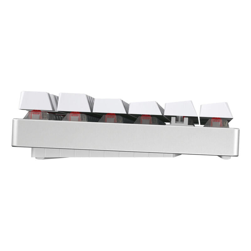 Cherry Xtrfy Mx 8.2 Tkl Inalámbrico, Teclado Gaming Blanco/Gris, Disposición De, Cherry Mx2a Red G80-3882sjade-0