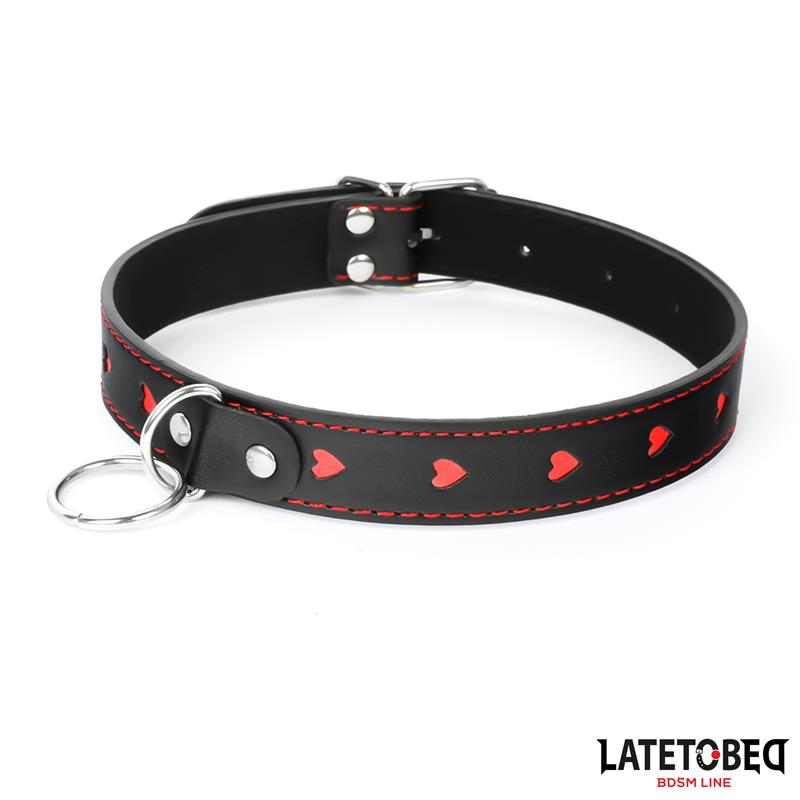 Collar Con Correa 52 Cm