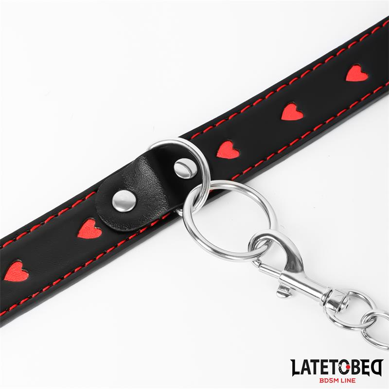 Collar Con Correa 52 Cm
