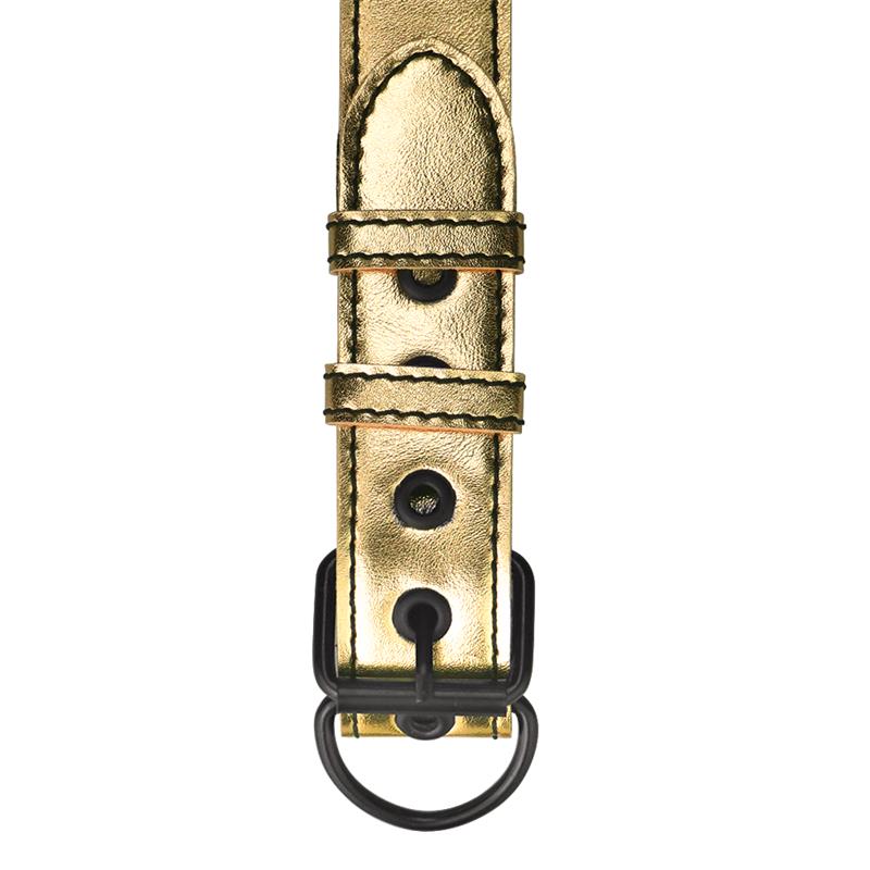 Collar Con Correa Bondage Dorado