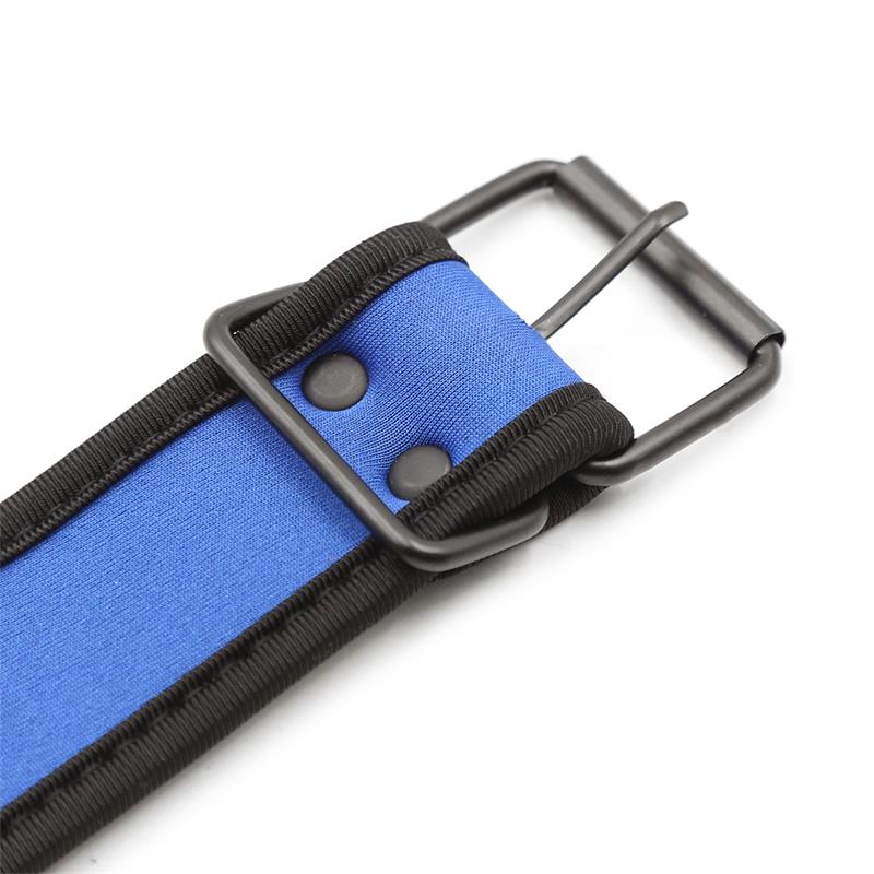 Collar De Neopreno Ajustable Azul