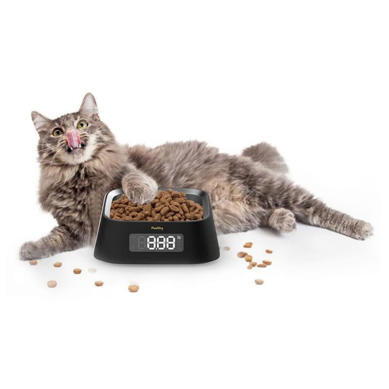 Comedero Para Mascotas Xiaomi Pawbby Smart Pet Bowl