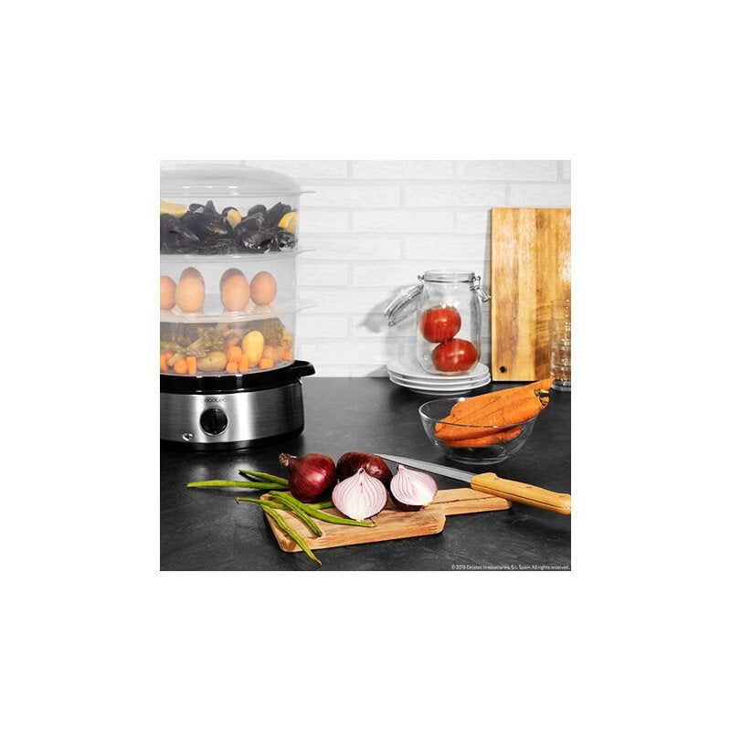 EAN 8435484041096 - Cecotec Vapovita 3000 Inox vaporizador Independiente 800 W Negro, Acero inoxidable, Transparente imagen 8