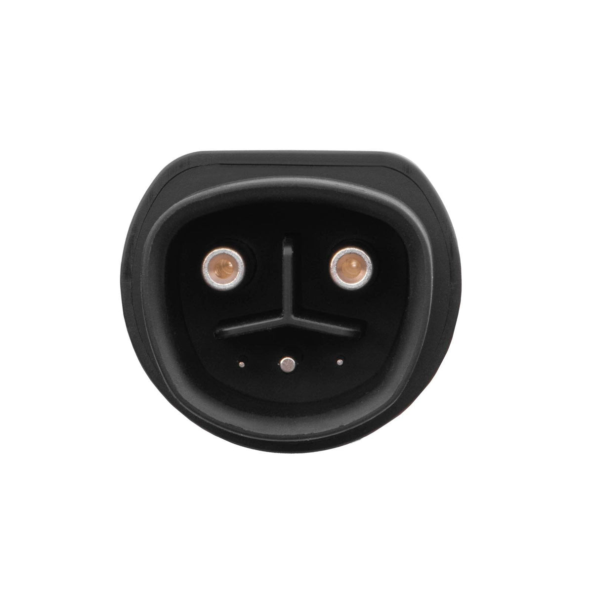 Akyga Ak-Sc-E22 Ladekabel-Adapter [1x Tesla Buchse - 1x Gb/T (20234.2-2015) Stecker] 1 0 M