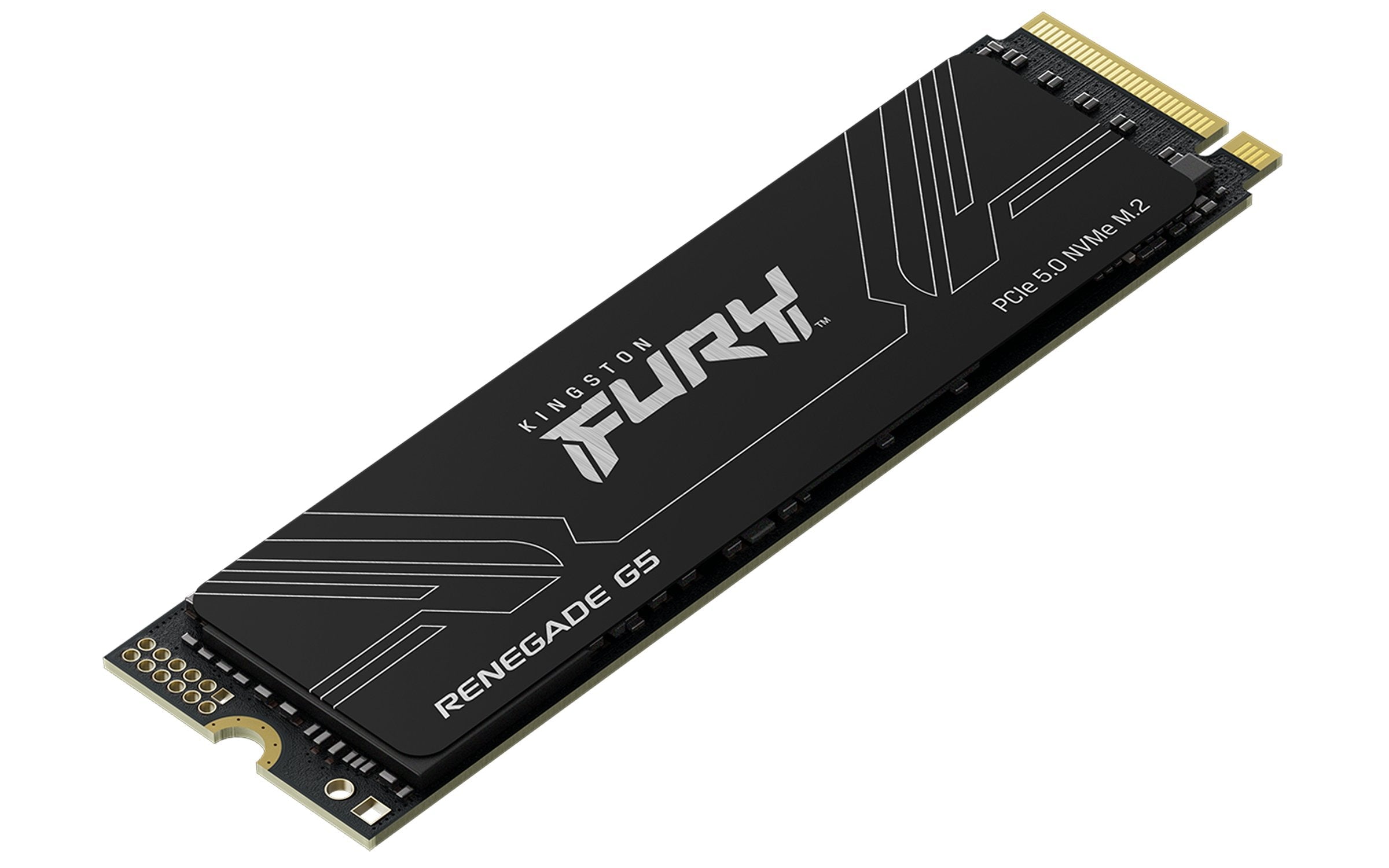EAN 0740617349498 - Kingston Technology FURY Renegade G5 2,05 TB PCI Express 5.0 3D TLC imagen 3