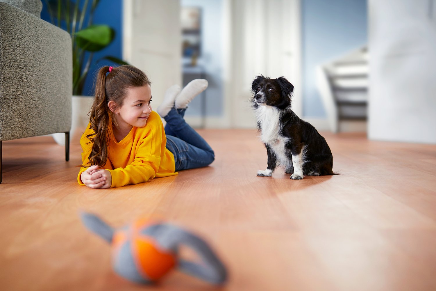 EAN 8720389015519 - Philips PowerPro Expert FC9747/09 aspiradora 2 L Aspiradora cilíndrica Secar 900 W imagen 13