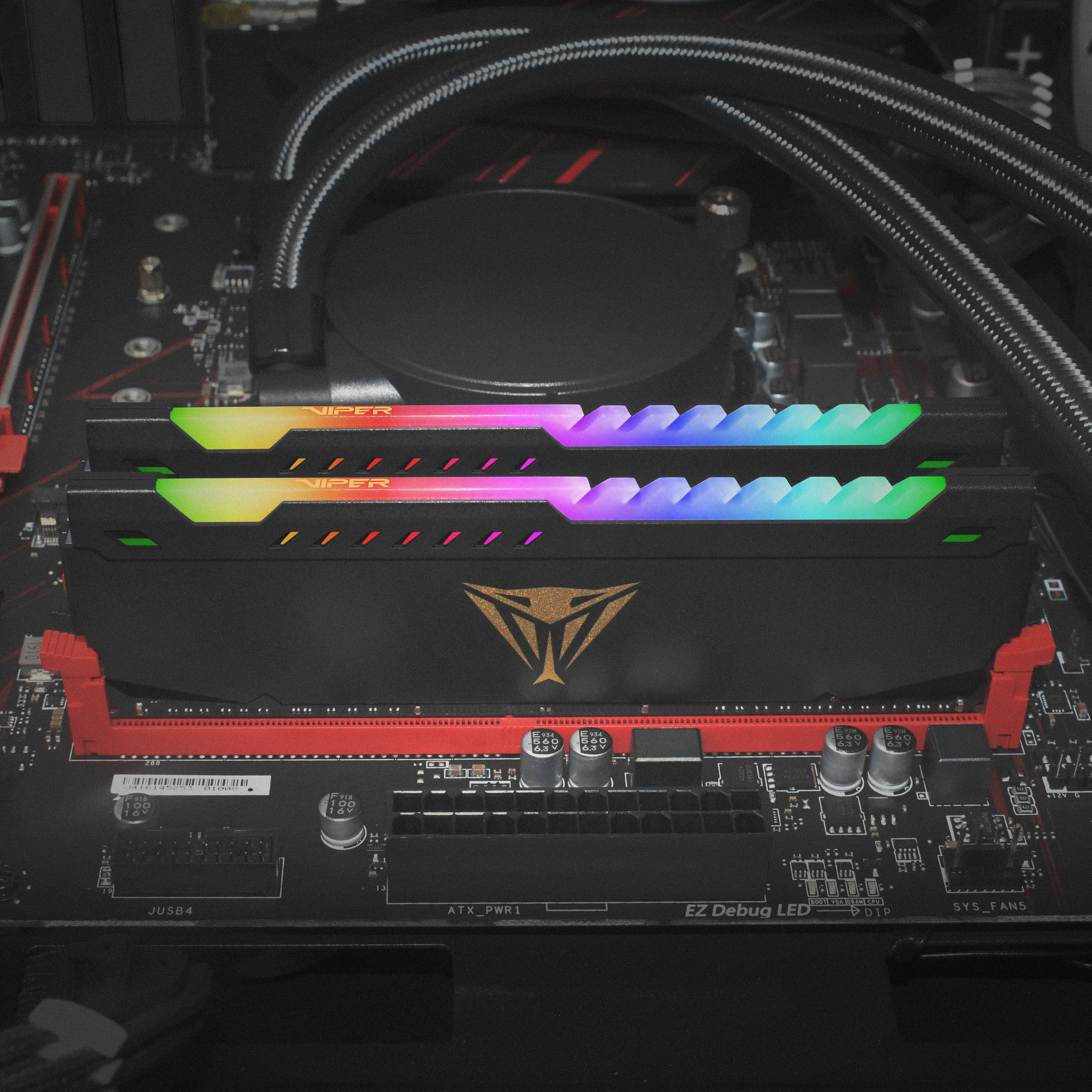 EAN 0814914029848 - Patriot Memory Viper Steel RGB PVSR416G360C8K módulo de memoria 16 GB 2 x 8 GB DDR4 288-pin DIMM imagen 11