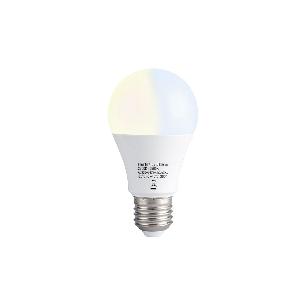 EAN 3800238073190 - Shelly Duo Gen3 E27 Bulb lámpara LED 6500 K imagen 2