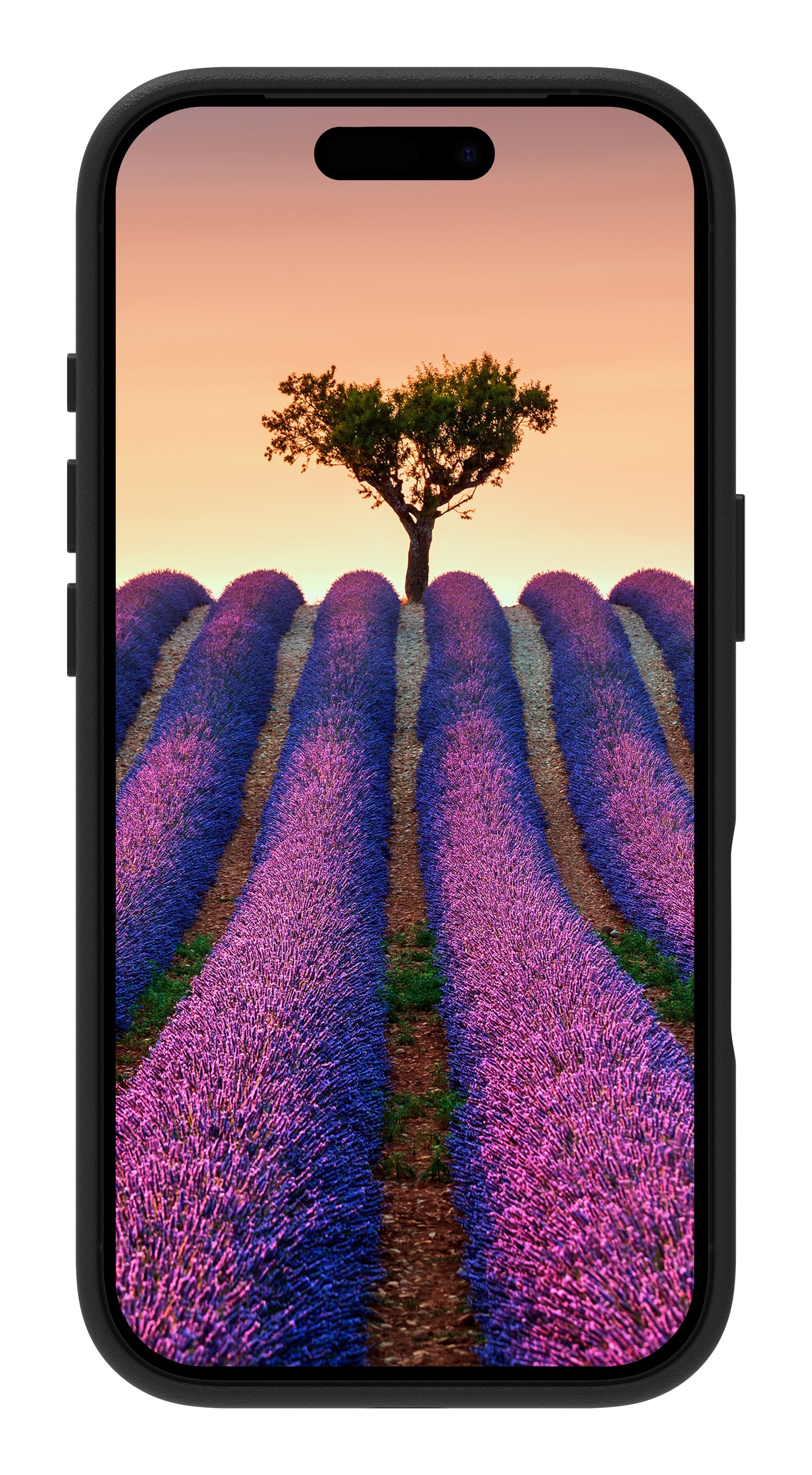 EAN 5711428066336 - dbramante1928 Roskilde MS funda para teléfono móvil 15,9 cm (6.27") Negro imagen 5