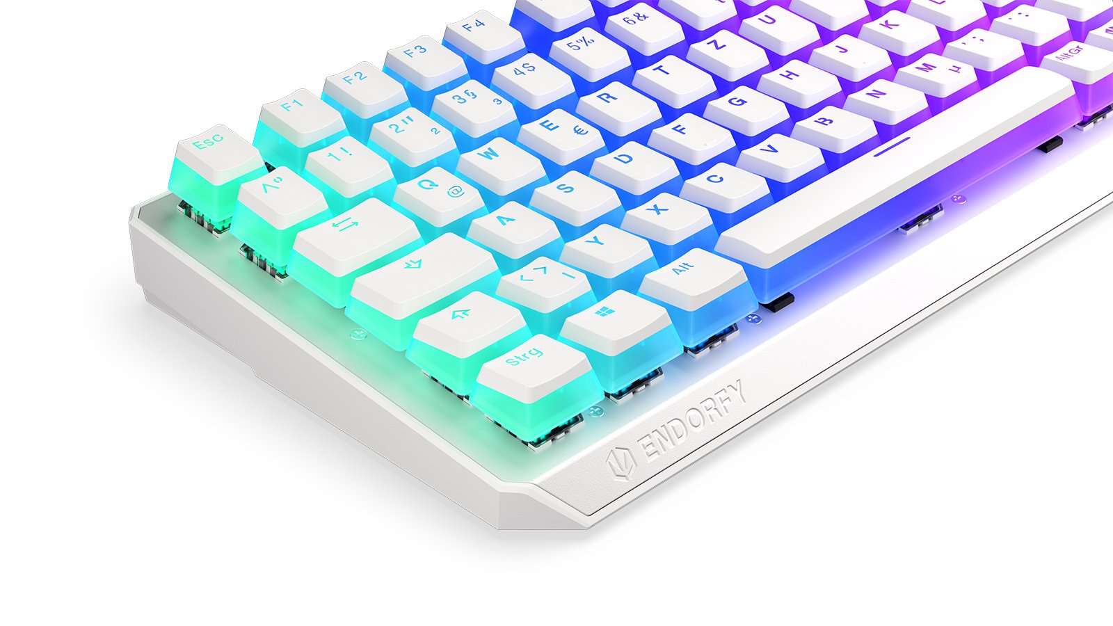 Teclado Alemán Endorfy Thock 75% Rf Inalámbrica + Usb Qwertz Blanco