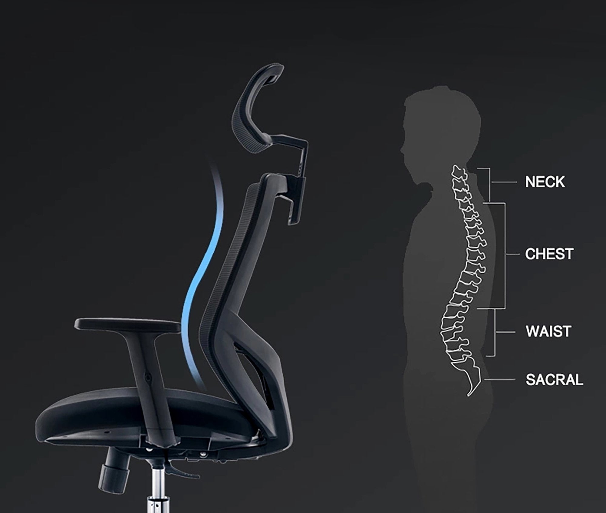 EAN 3760170880709 - Urban Factory ADJUSTABLE WORKING CHAIR Correa de seguridad Respaldo de malla imagen 3