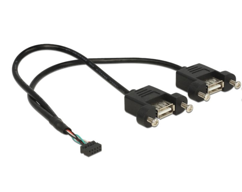 Delock Cable Usb 2.0 Hembra De 10 Pines 2,00 Mm  2 X Usb 2.0 Tipo-A Hembra De Instalación En Panel De 25 Cm