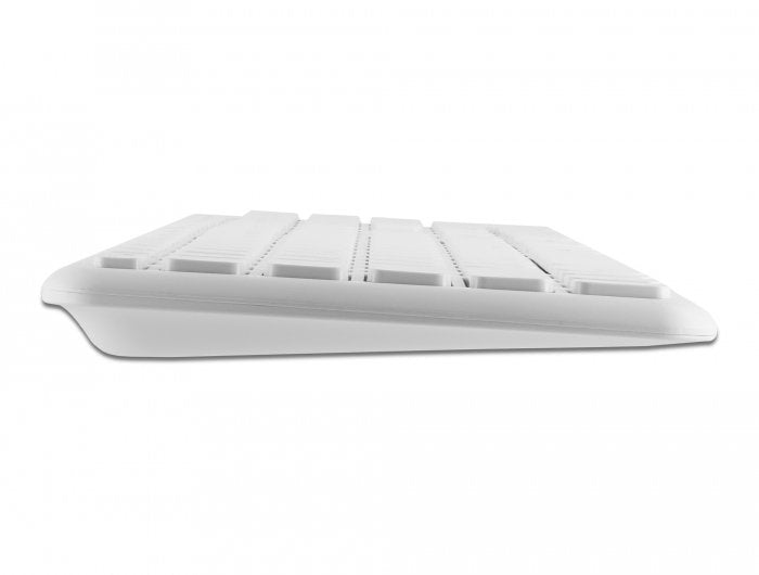 Delock Usb Tastatur Y Raton Set 2,4 Ghz Kabellos Blanco