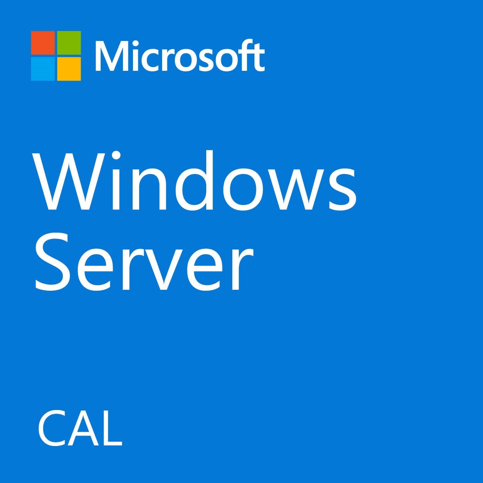 Fujitsu Winsvr Cal 2022 1user
