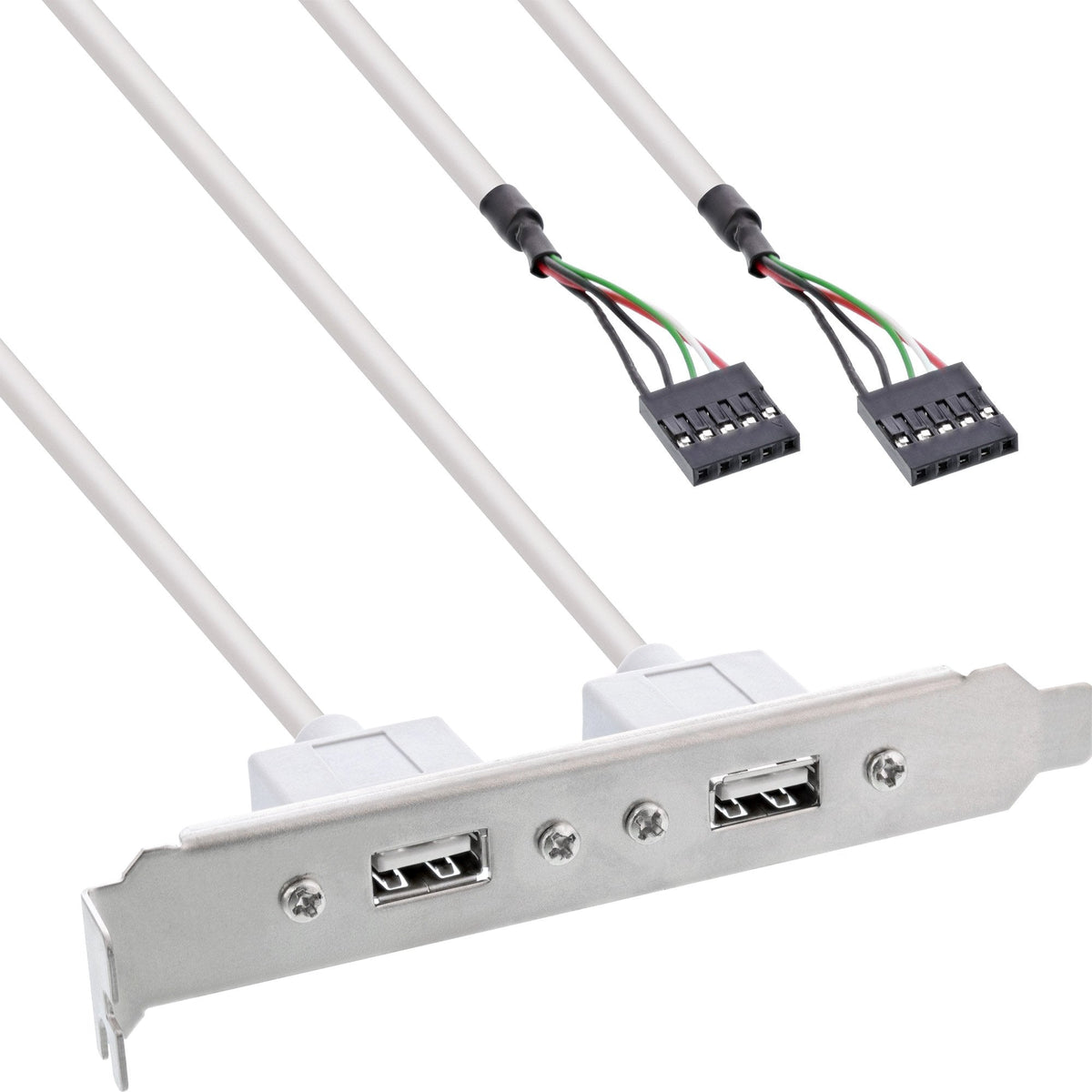 Soporte Inline 2x Usb 2.0 Tipo A Hembra A 2x Conector Interno De 5 Pines 0,3 M