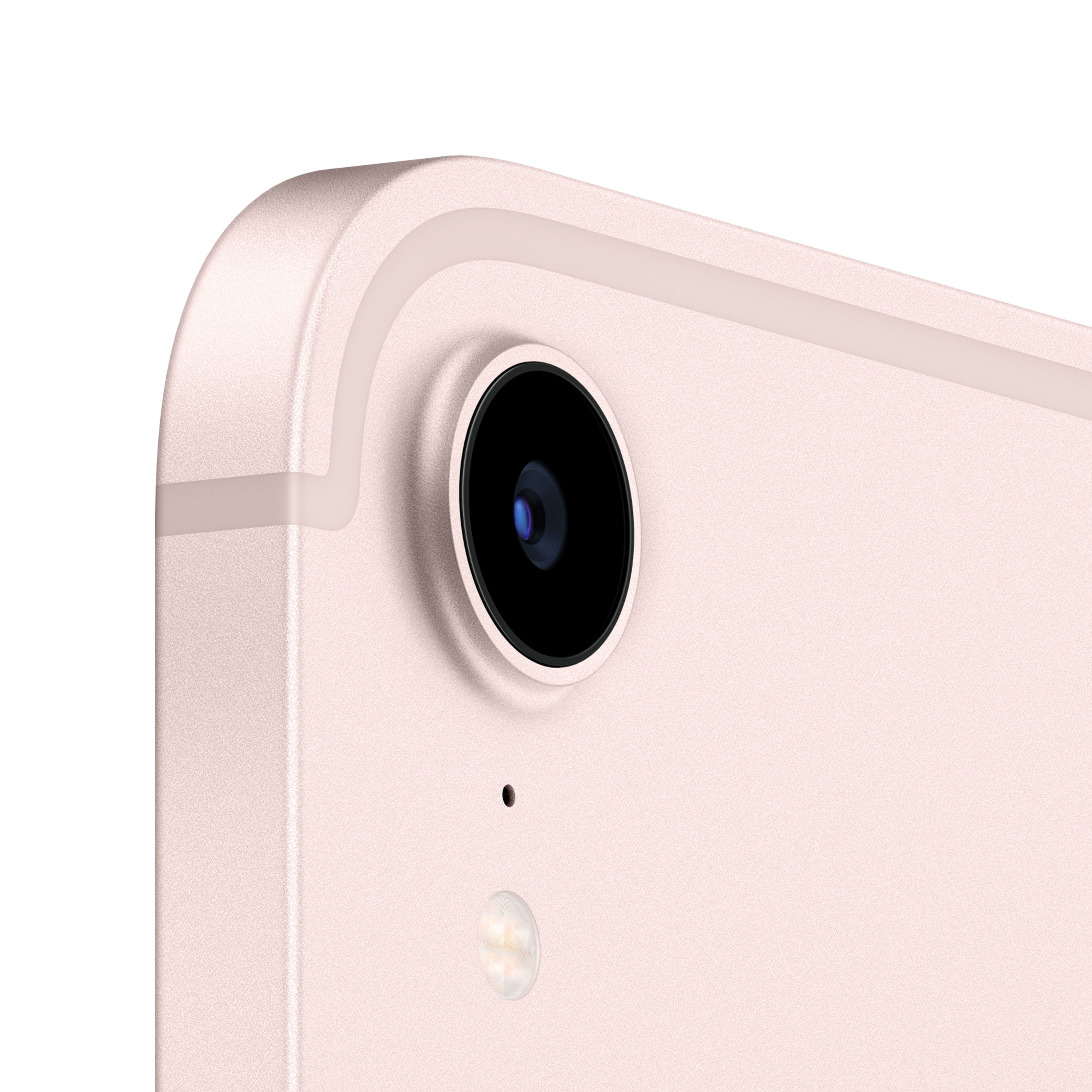 Apple Ipad Mini 5g Td-Lte & Fdd-Lte 64 Gb 21,1 Cm (8.3") Wi-Fi 6 (802.11ax) Ipados 15 Oro Rosa