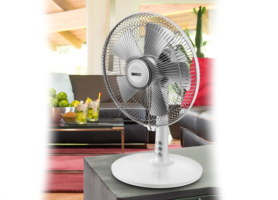 Ventilador De Sobremesa Unold 86810 Silverline Blanco/Gris