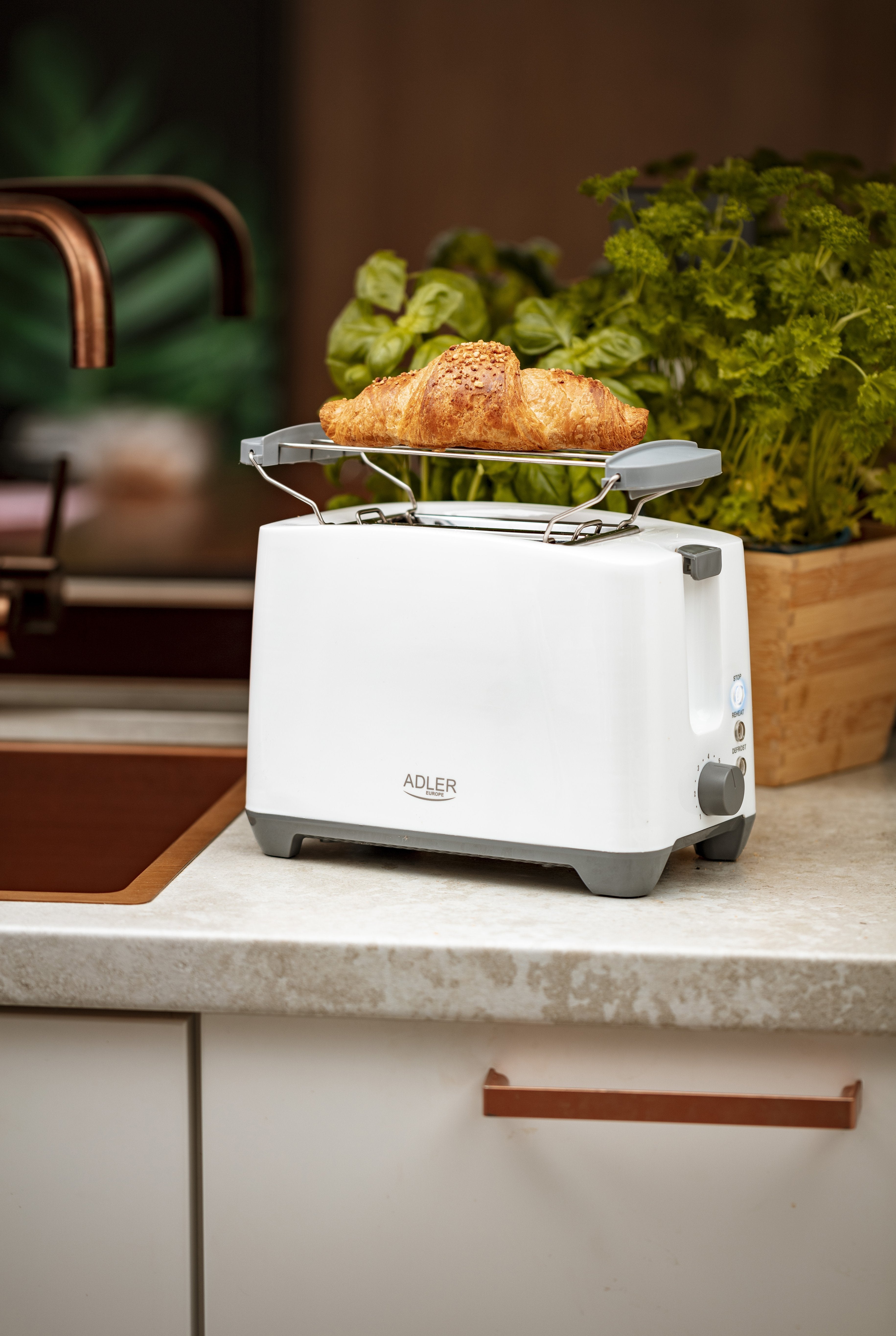 EAN 5902934838238 - Adler AD 3216 tostadora 2 rebanada(s) 1000 W Gris, Blanco imagen 11