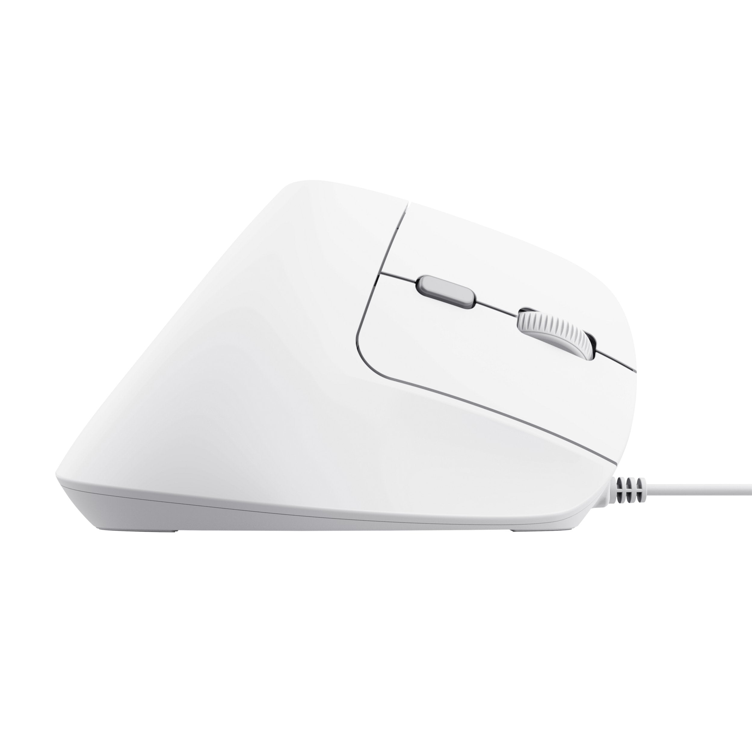 EAN 8713439253979 - Trust Bayo II ratón Oficina mano derecha USB tipo A Óptico 2400 DPI imagen 5