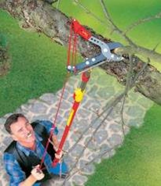 EAN 4008423878561 - WOLF-Garten RC-VM tijeras de podar Negro, Rojo imagen 5