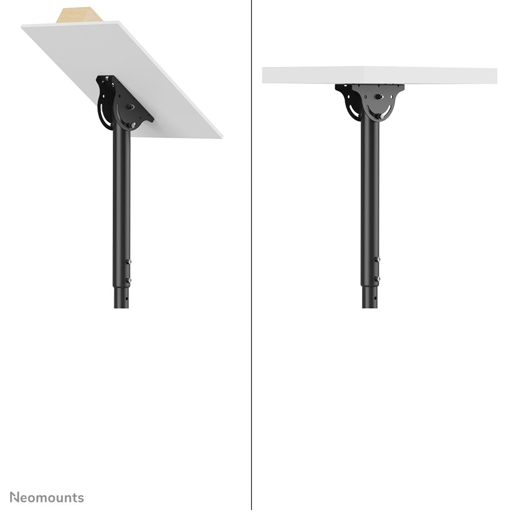 Newstar Soporte De Techo Para Tv