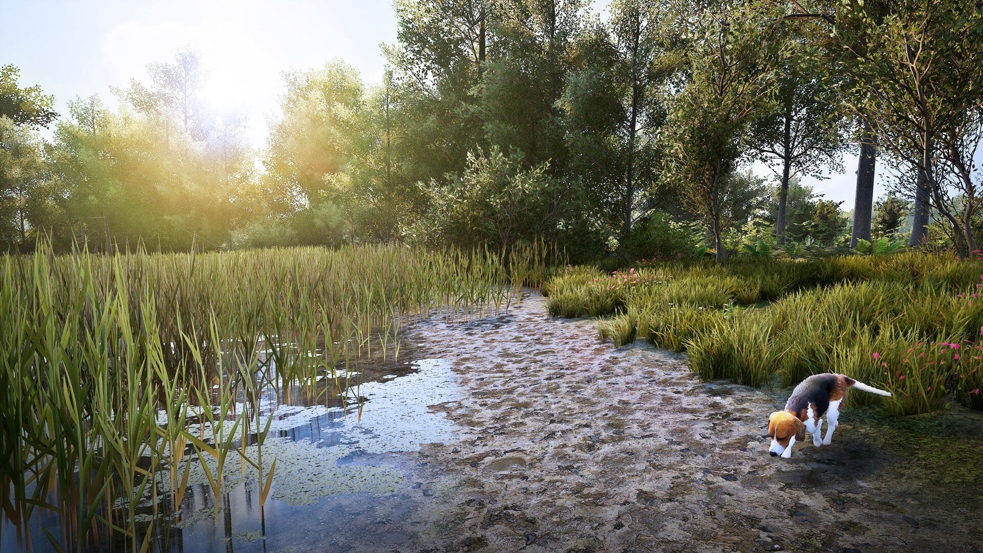 EAN 3665962001358 - Bigben Interactive Hunting Simulator 2 Estándar Nintendo Switch imagen 11
