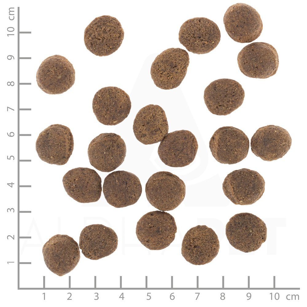 EAN 4260603786558 - Wolfsblut VetLine Gastrointestinal 12 kg Adulto Pato, Batata imagen 3