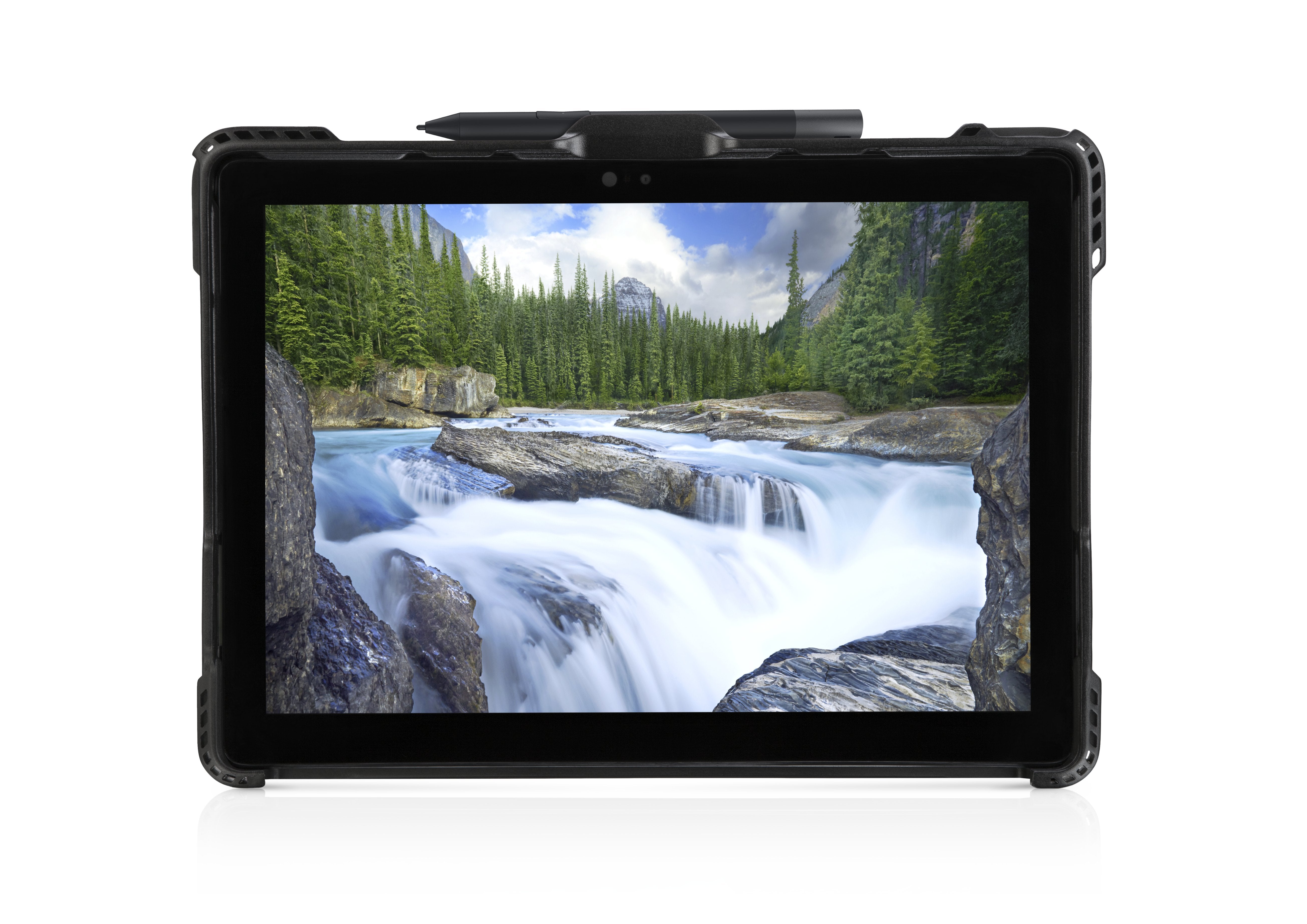 Dell Rg1220c 31,2 Cm (12.3") Antigolpes Negro