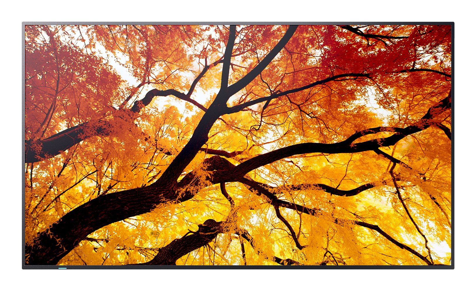 EAN 4550556176651 - Sharp MultiSync M862 Pantalla plana para señalización digital 2,18 m (86") LCD 550 cd / m² 4K Ultra HD Ne imagen 1