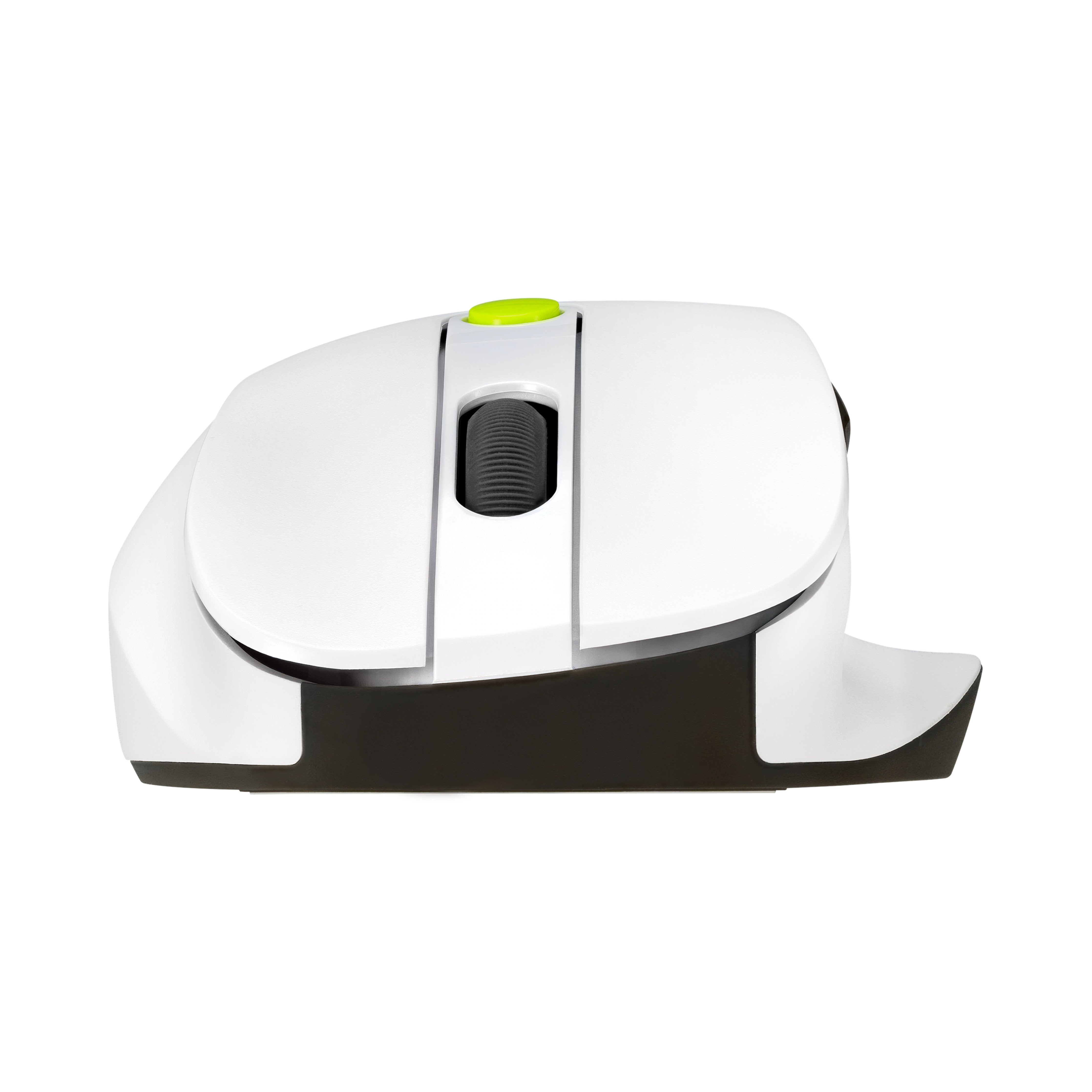 Raton Asus Md105  Wireless 2400dpi Volt Verde