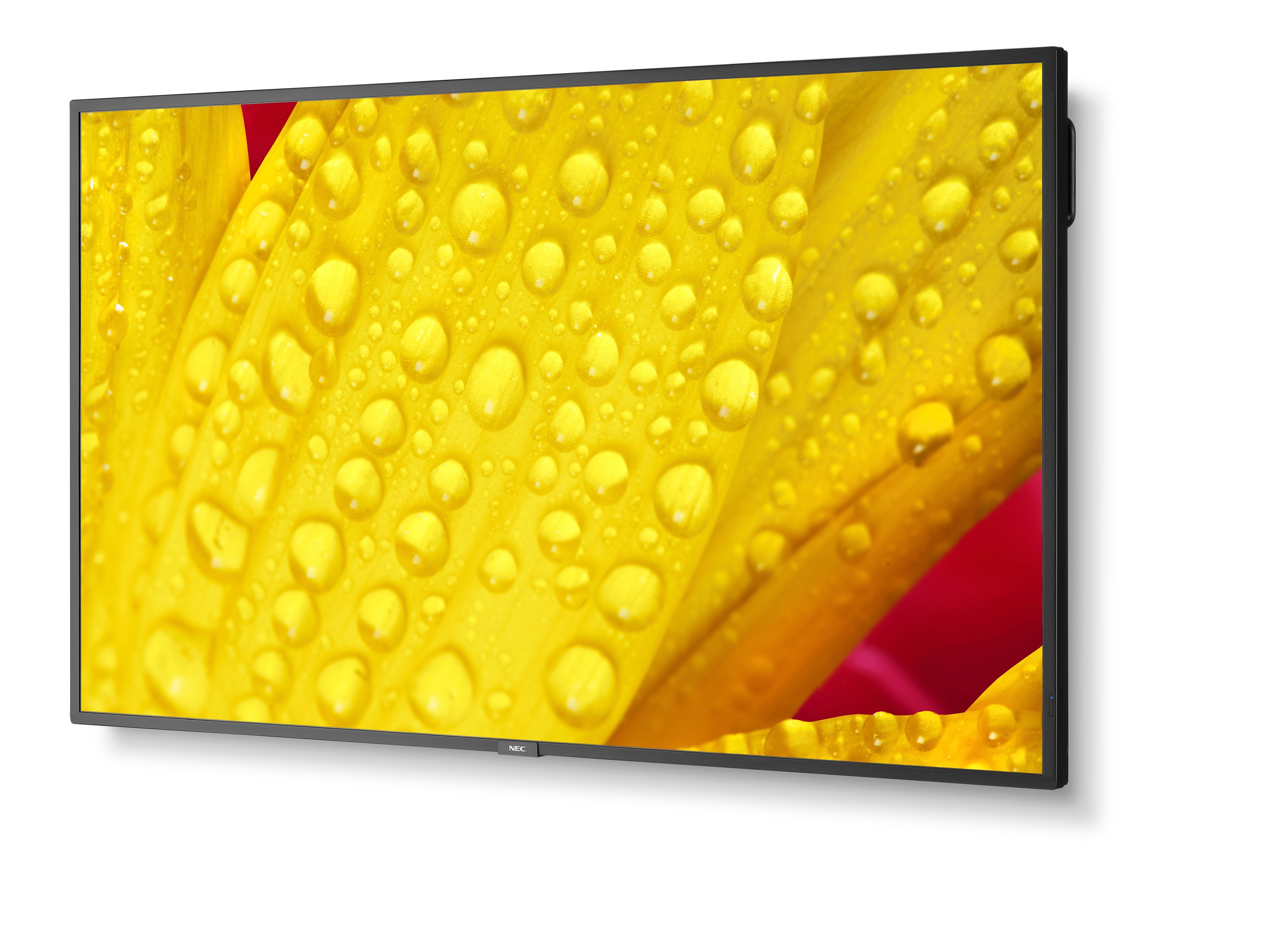 EAN 5028695127487 - NEC MultiSync M551-2 Diseño de quiosco 127 cm (50") LED 4K Ultra HD Negro Procesador incorporado imagen 5