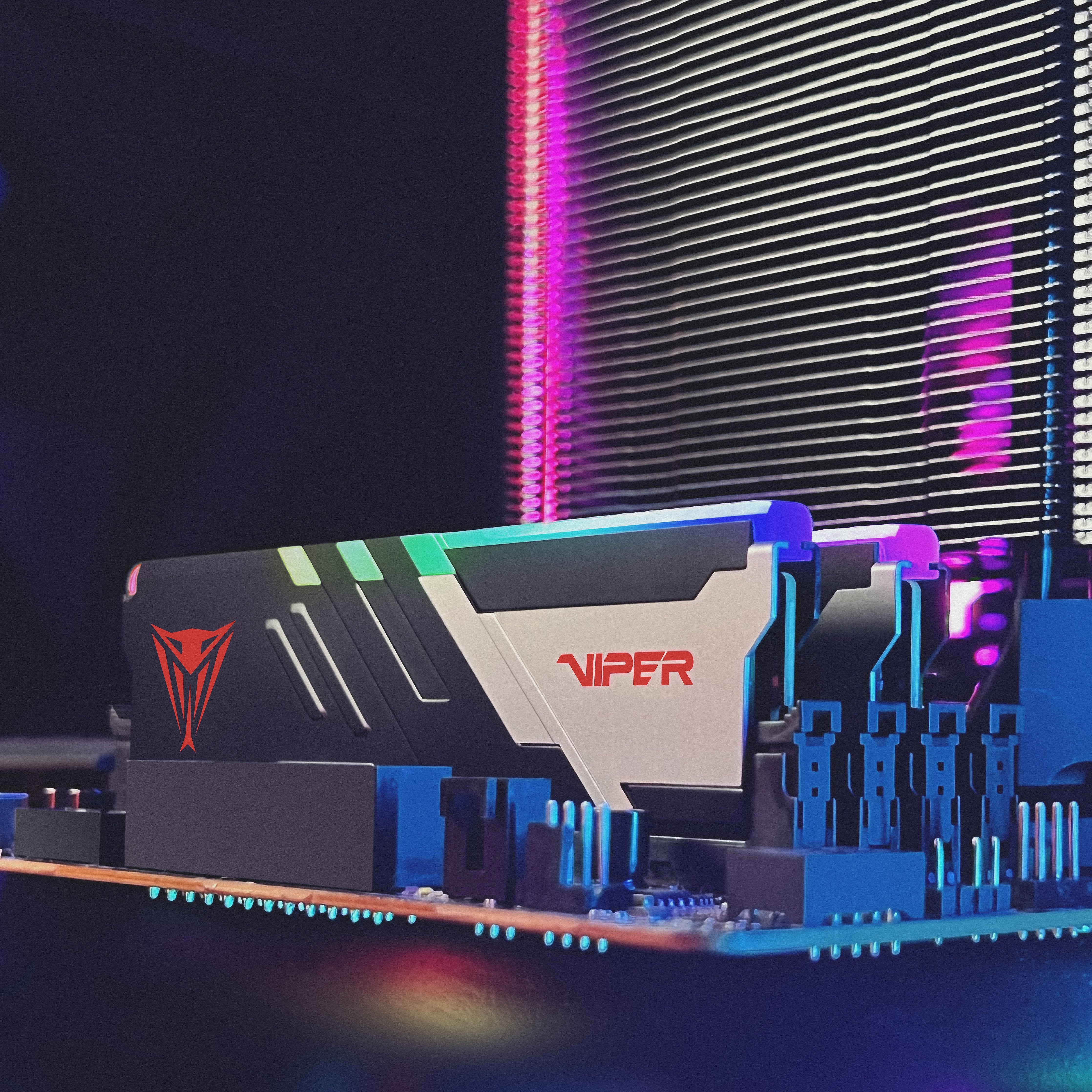EAN 4711378423594 - Patriot Memory Viper Venom RGB PVVR532G660C34K módulo de memoria 32 GB 2 x 16 GB DDR5 imagen 28