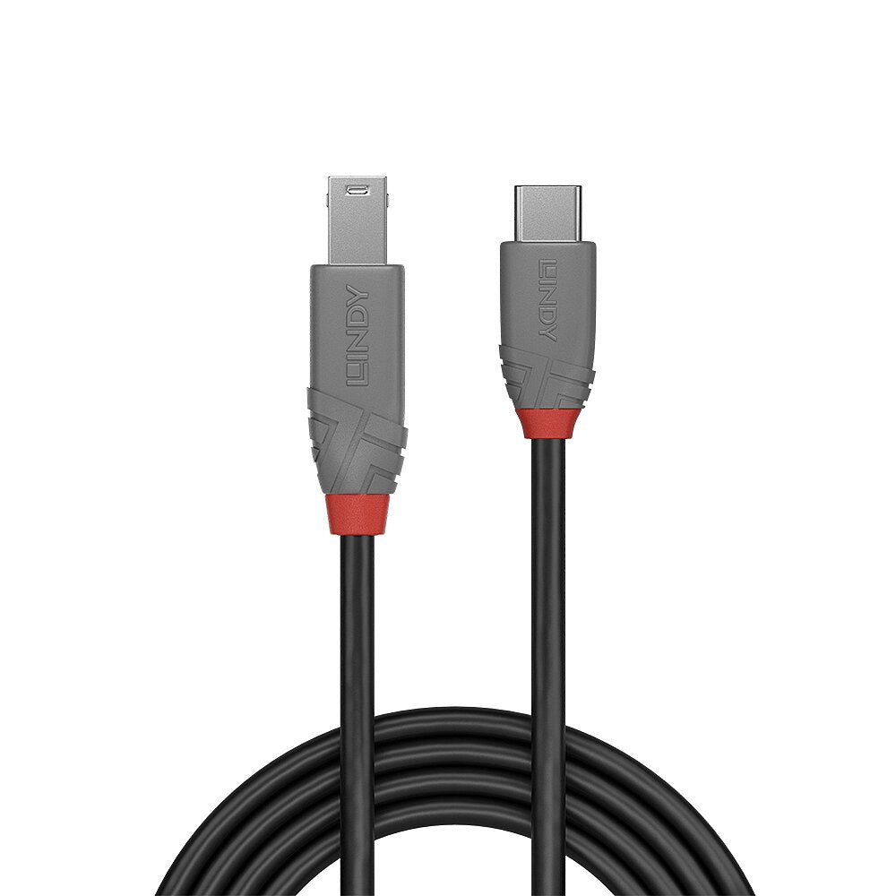 Cable Lindy 36665  Usb Usb 3.2 Gen 1 (3.1 Gen 1) 0,5 M Usb C Usb B Negro