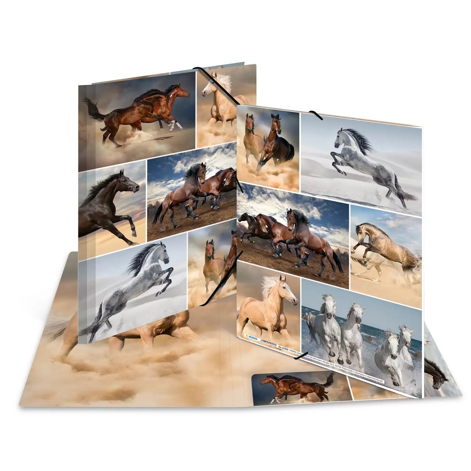 EAN 4008705192095 - HERMA 19209 carpeta Cartón Multicolor A4 imagen 1