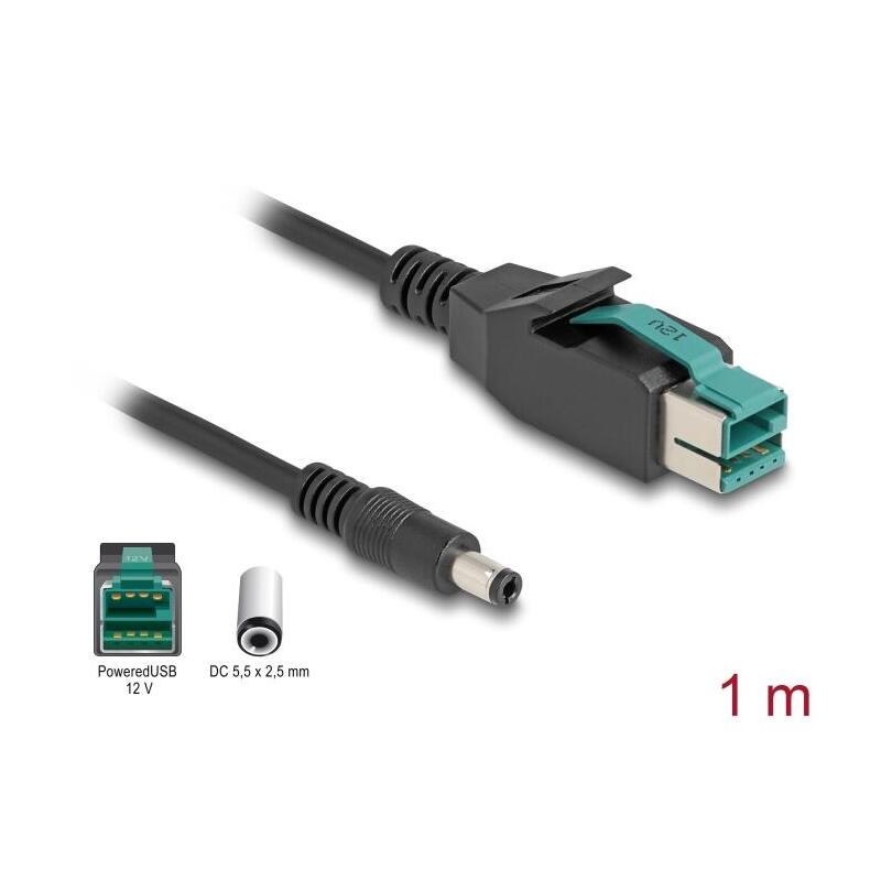 Delock 80495 Cable Poweredusb Macho 12 V A Dc 5,5 X 2,5 Mm Macho 1 M