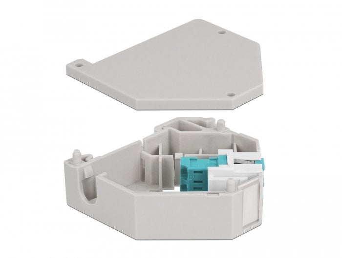 Delock Hutschienenadapter Mit Keystone Lc Duplex Buchse Zu Lc Duplex Buchse Aqua