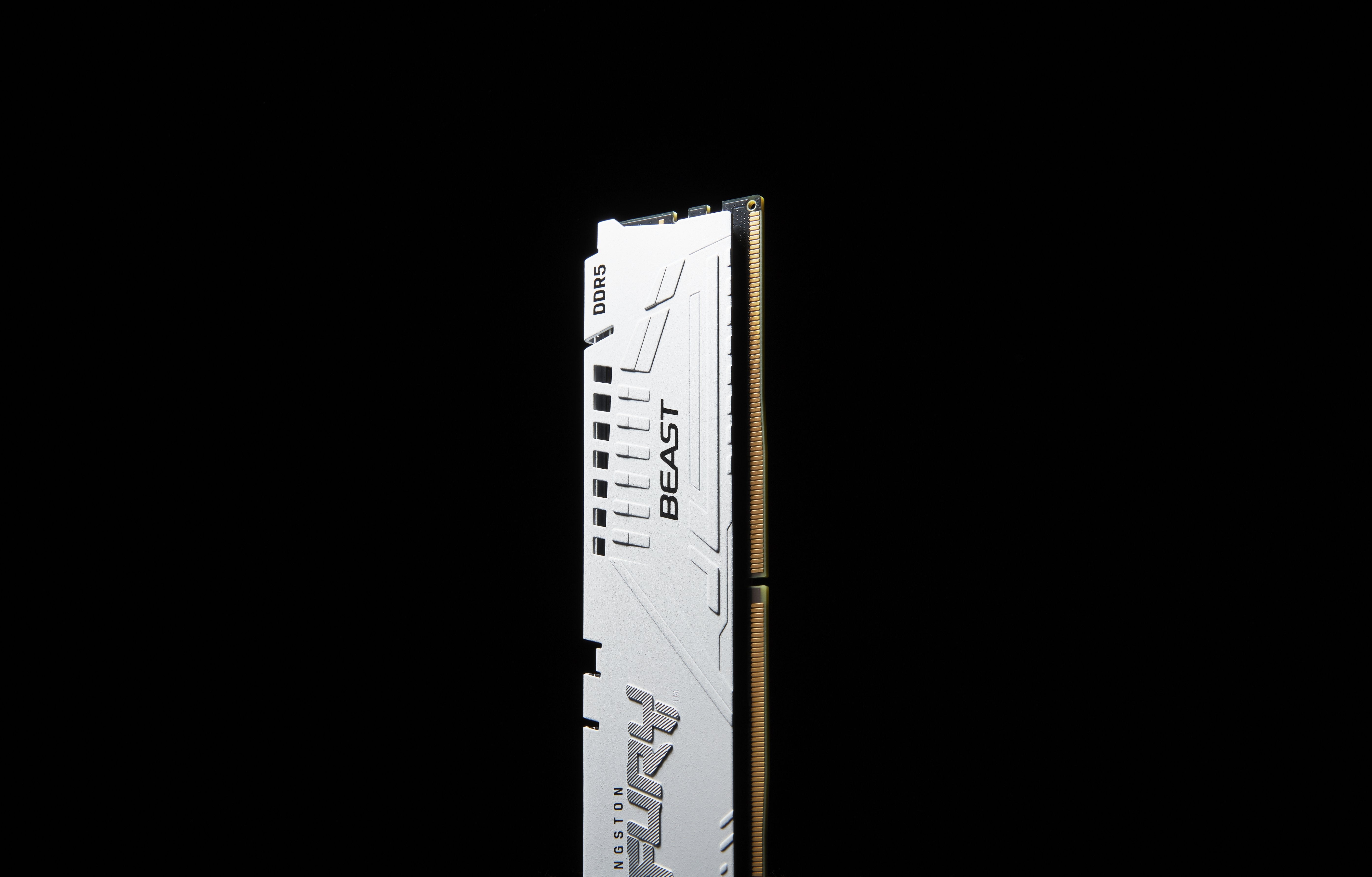 Memoria Kingston Fury Beast 16gb Ddr5 5600 Kf556c36bwe-16