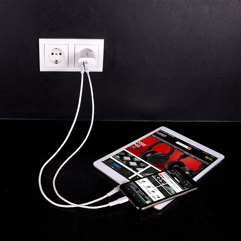 Lindy 73413 Cargador De Pared Usb Typ A & C  20w, Blanco