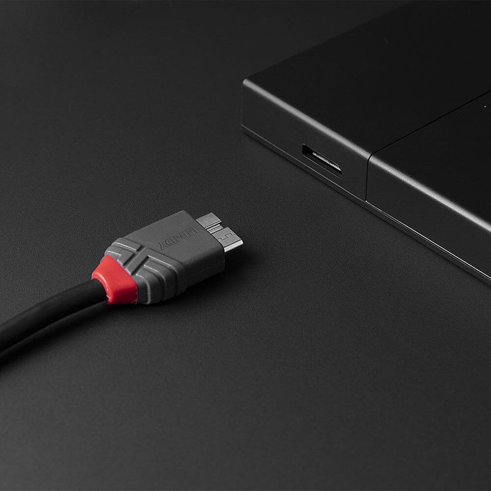 Lindy Cable Usb 3.2 Tipo C A Micro-B De 0,5 M, Línea Antracita