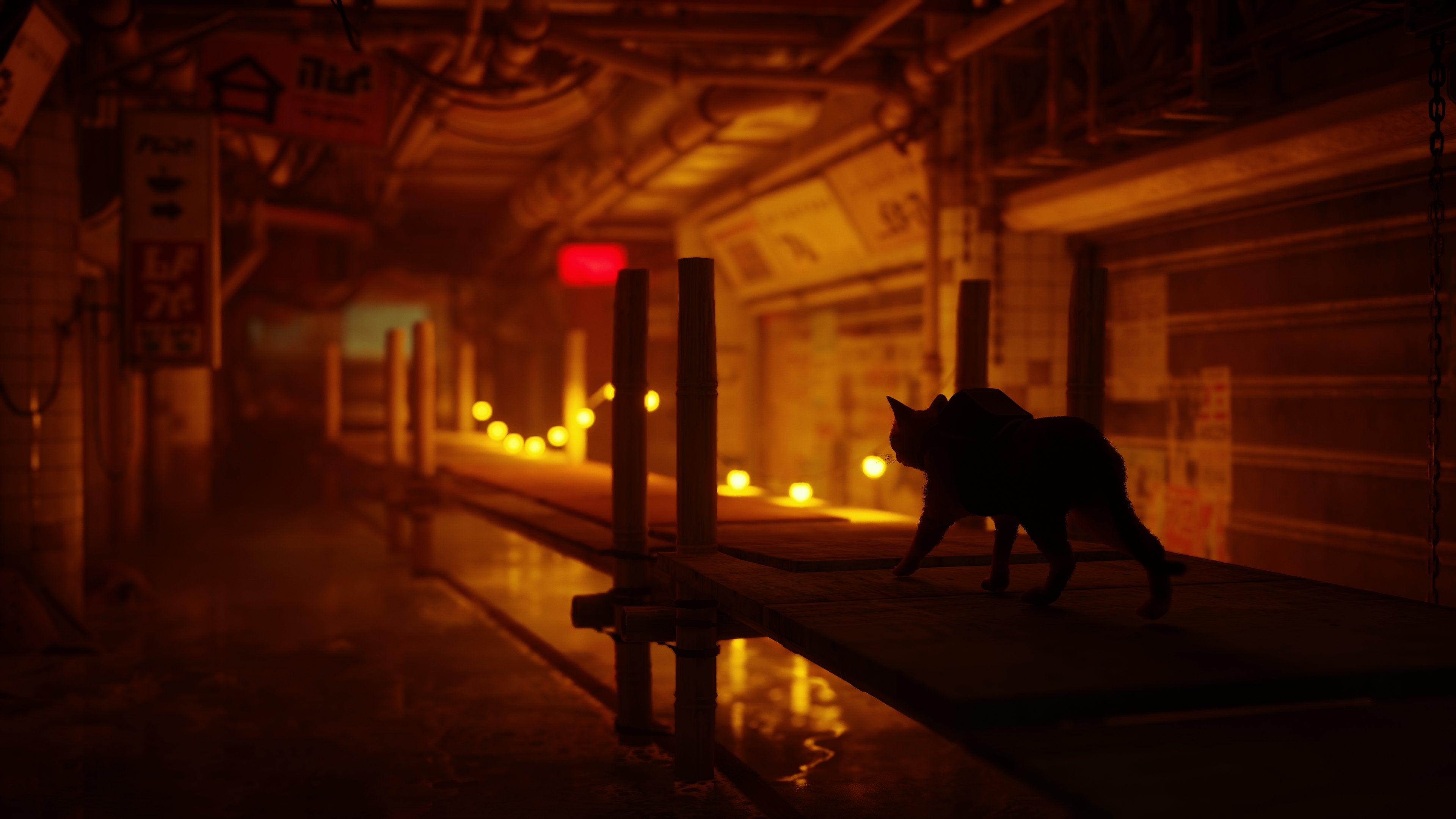 Stray