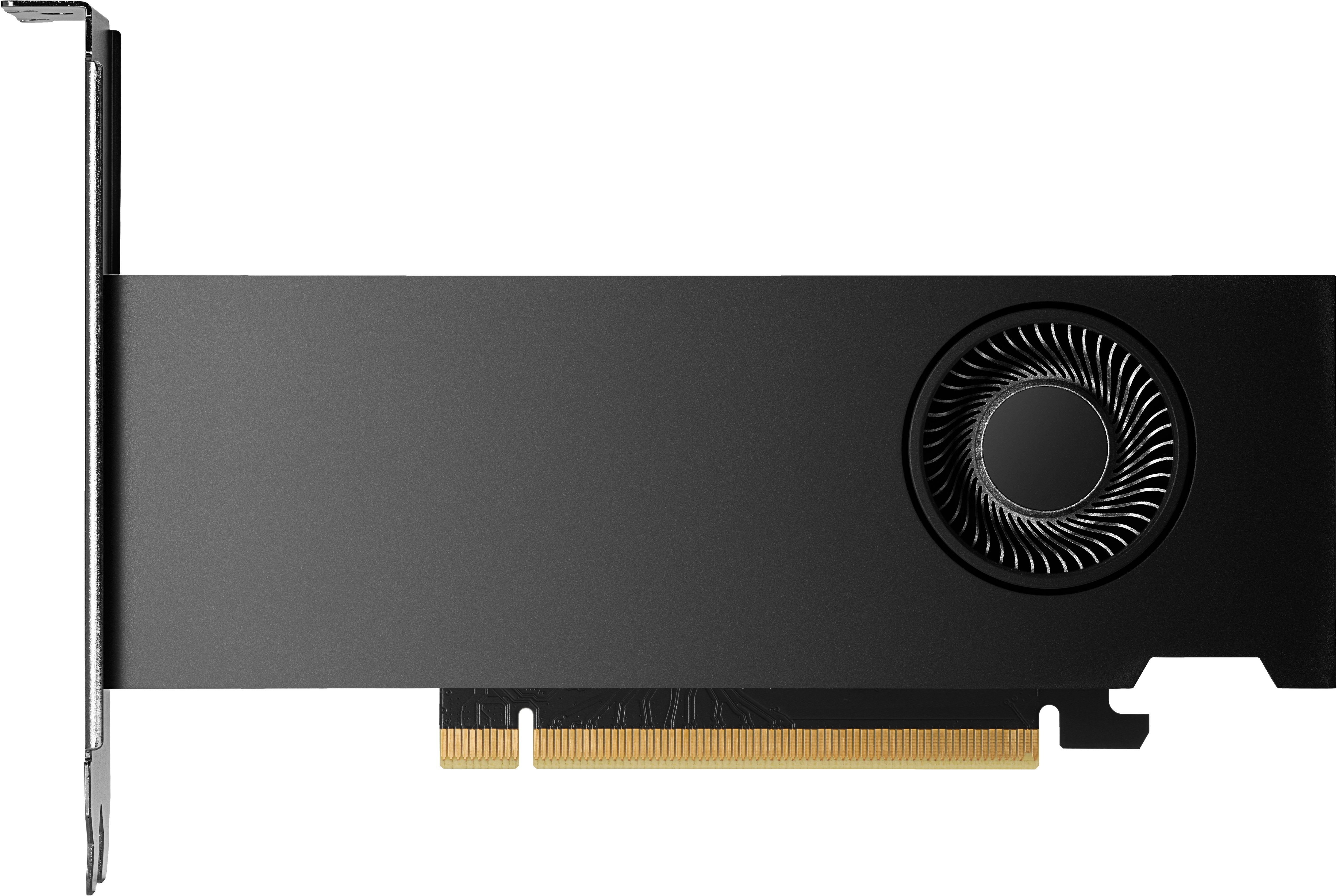 Tarjeta Gráfica Nvidia Rtx 2000 Ada 16gb 4mdp Gfx 8d6b8aa