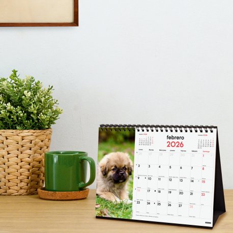 EAN 8422952402275 - Finocam 780323726 calendario Mesa imagen 2