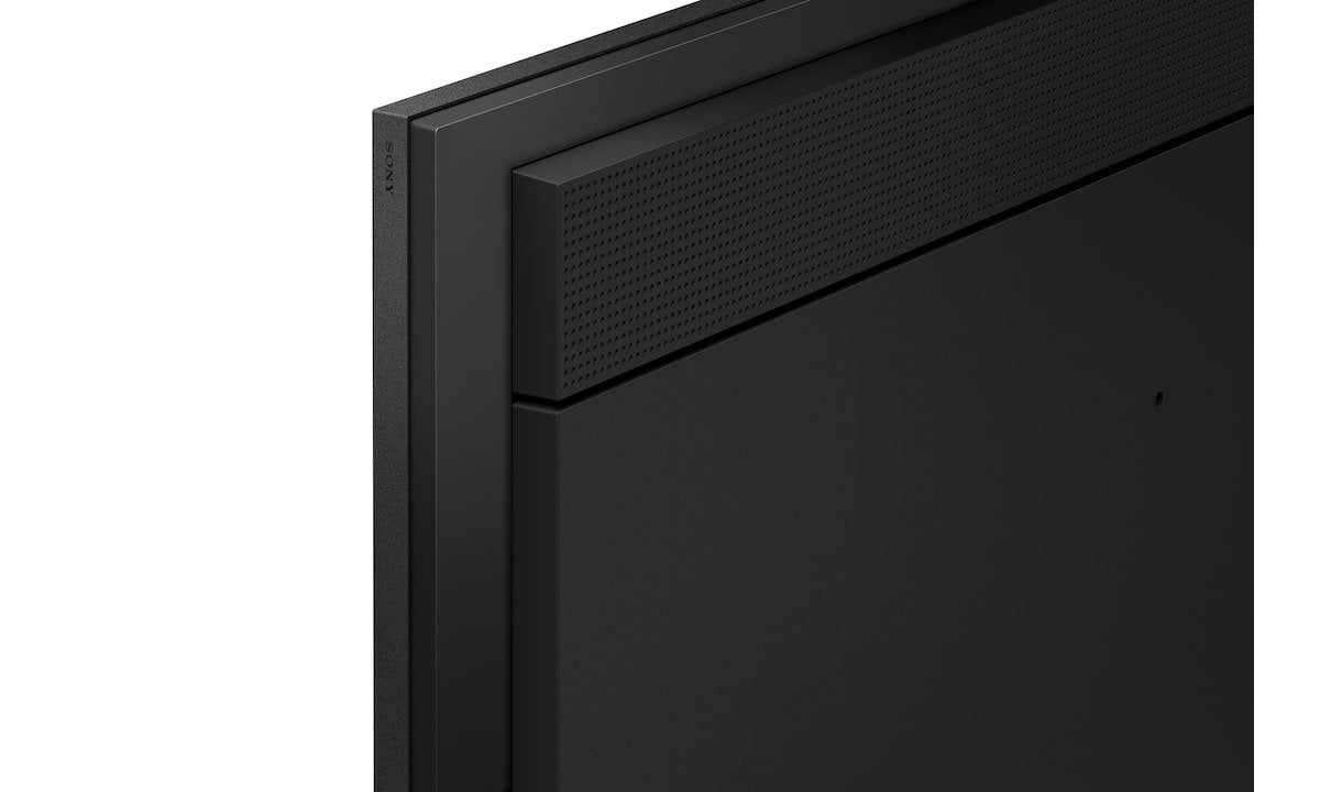 Sony 65" Pro Bravia 700nit Dbng Premium Display