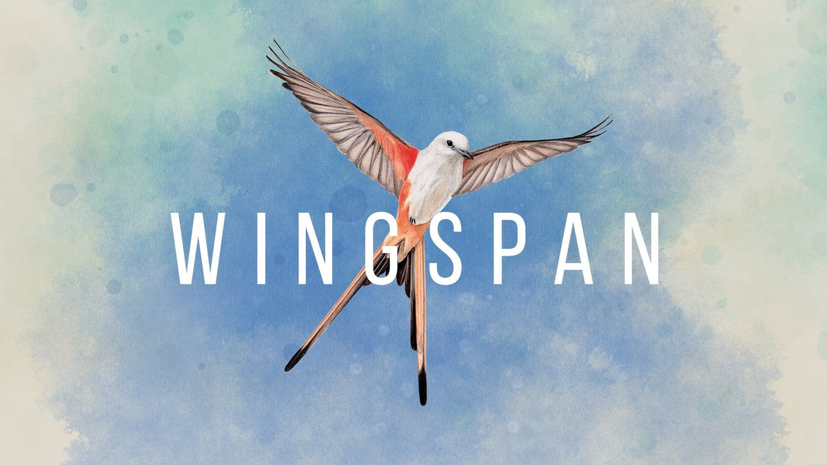 Juego Wingspan Special Edition Switch