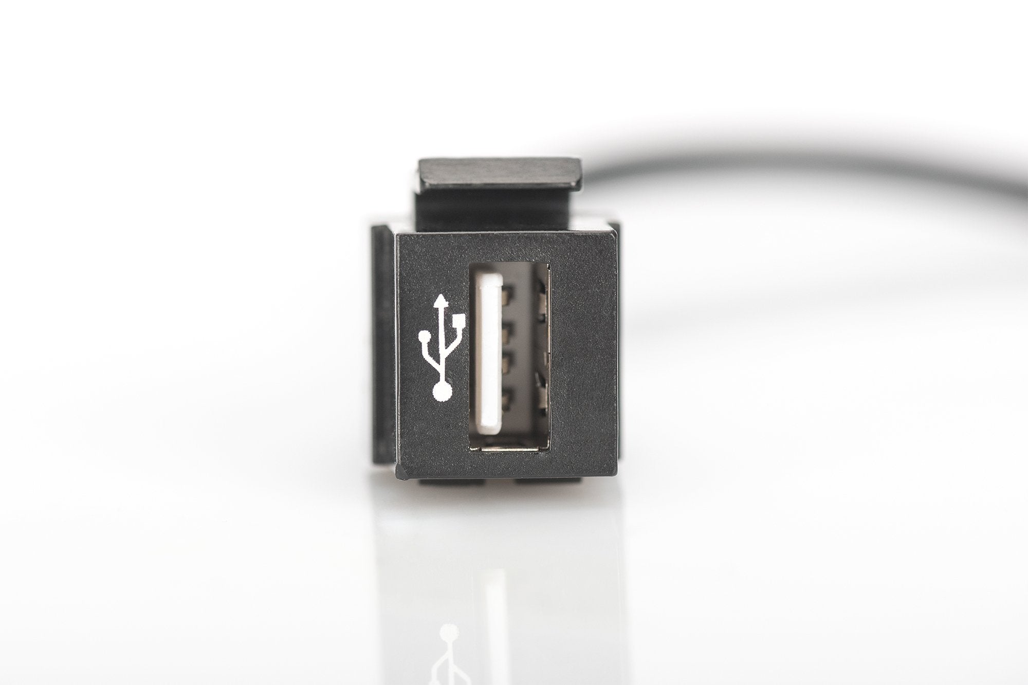 Módulo Digitus Keystone Usb 2.0 Usb -> Usb Macho / Hembra 16cm