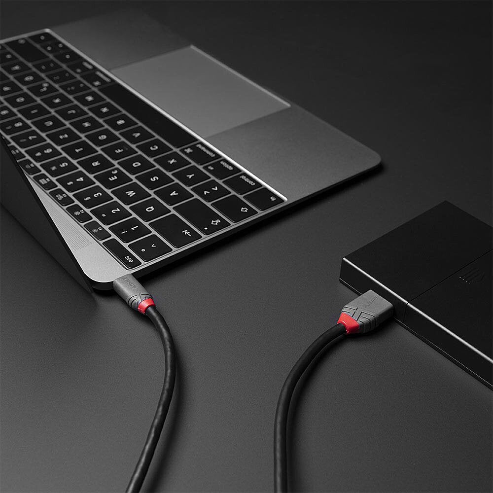 Lindy Cable Usb 3.2 Tipo C A Micro-B De 0,5 M, Línea Antracita