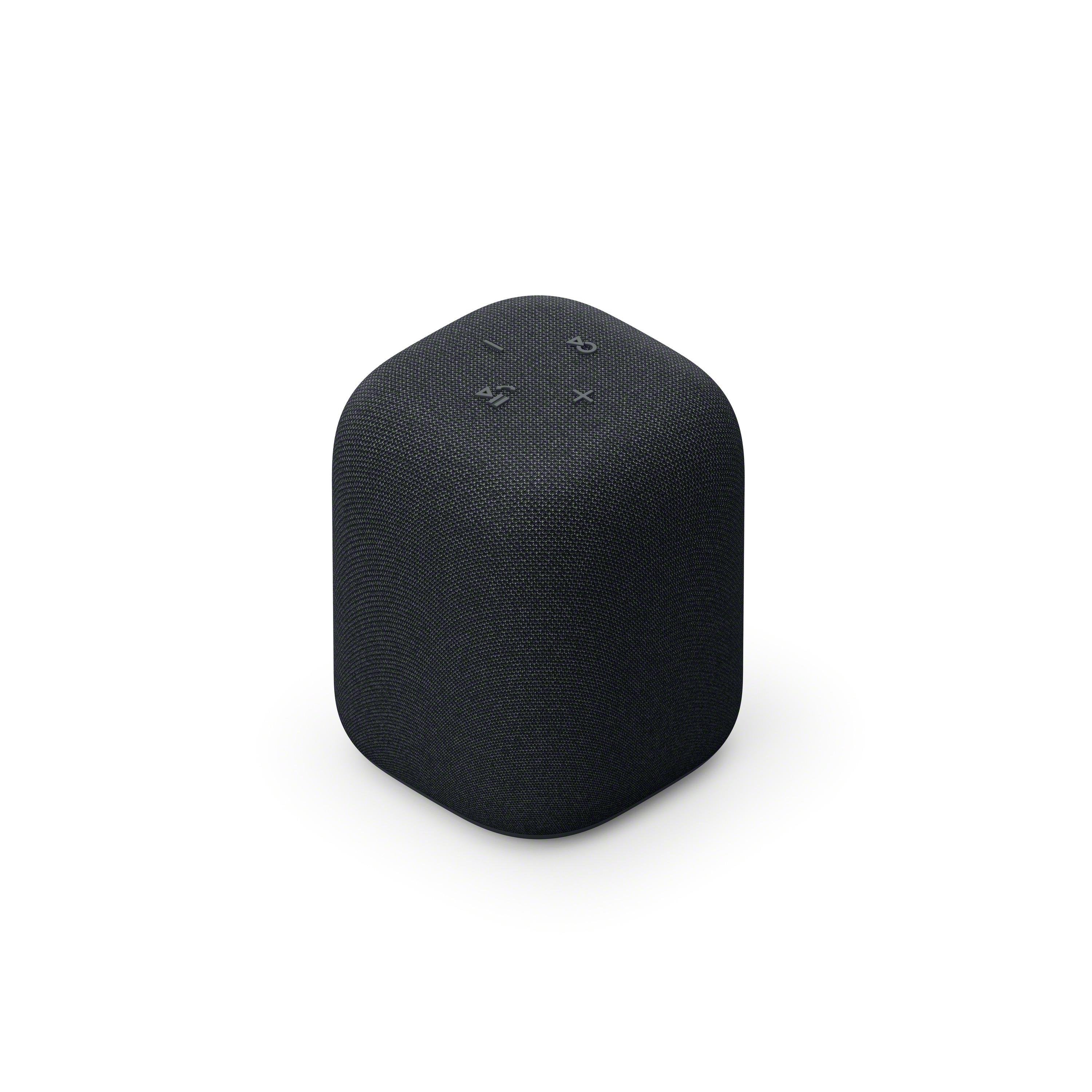 Sony Srs-Ls1 Black Linkbuds Speaker Altavoz Portátil Inalámbrico
