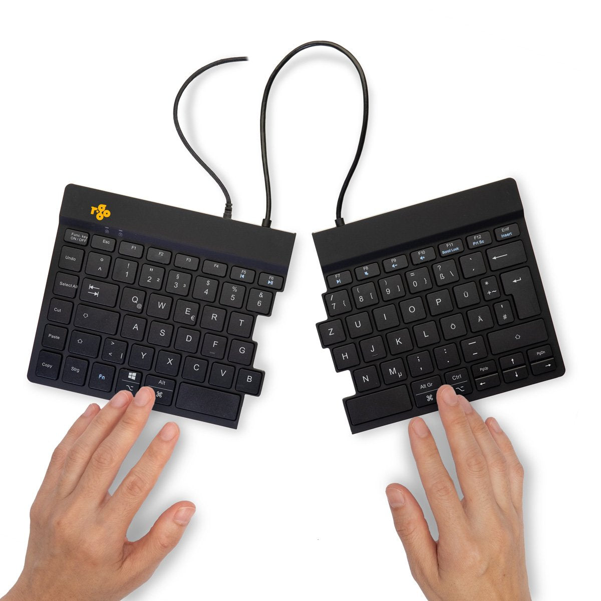 EAN 8719274490791 - R-Go Tools RGOSP-DEWIBL teclado Universal USB Alemán imagen 5